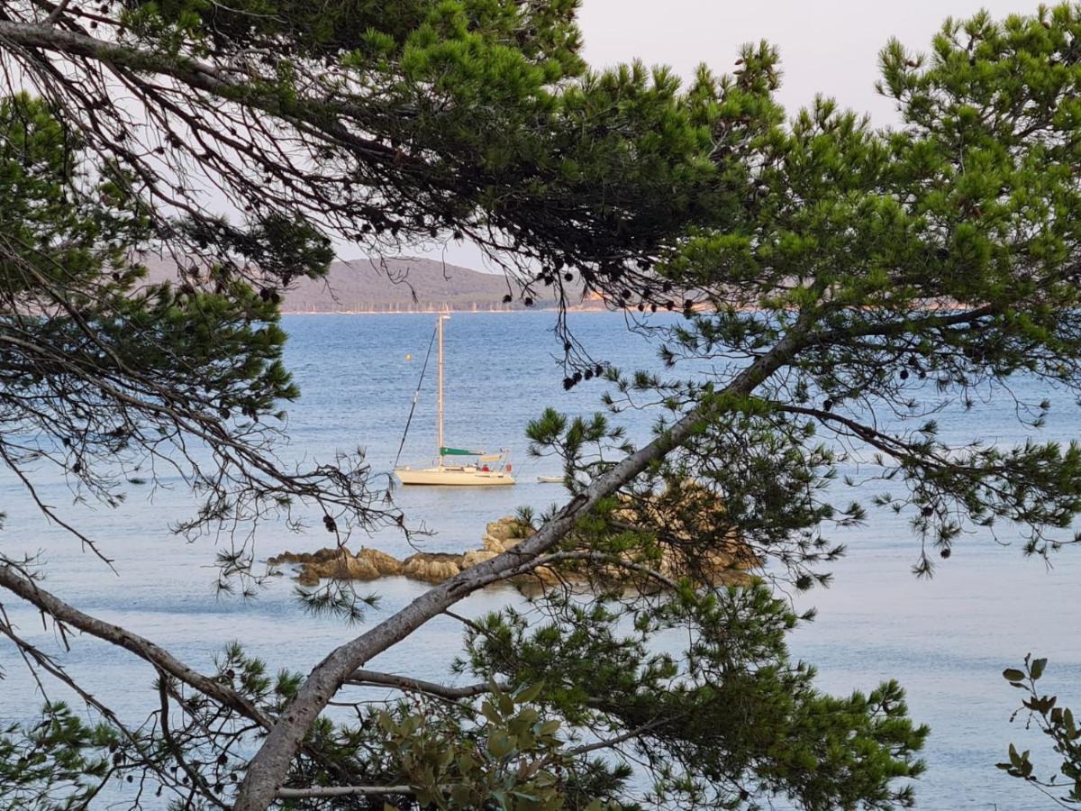 L'Instant Mer - Bord De Mer - Studio Avec Grand Jardin A La Capte Hyères Exteriör bild