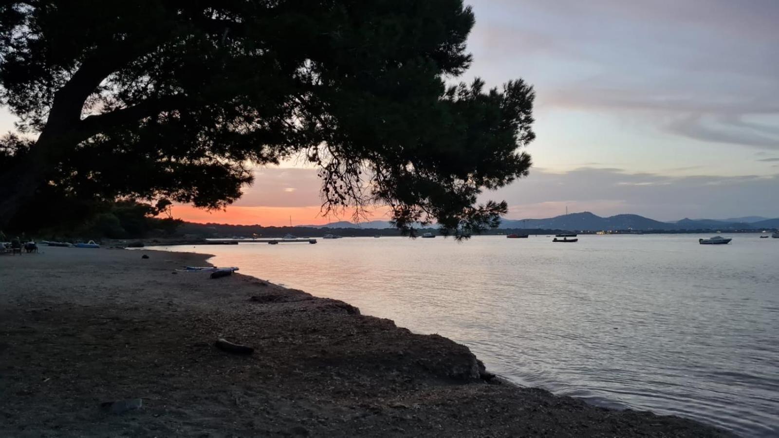 L'Instant Mer - Bord De Mer - Studio Avec Grand Jardin A La Capte Hyères Exteriör bild